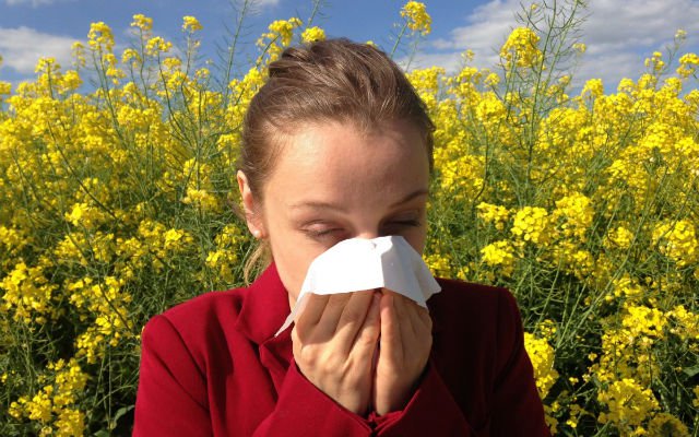 Foto de capa do artigo "Guia da Alergia: conheça os diferentes tipos e como tratar"