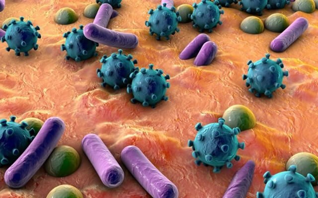 Foto de capa do artigo "Quais são as principais doenças bacterianas?"