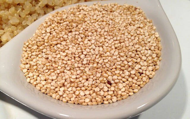 Quinoa: saiba os benefícios, receitas e como consumir | MS