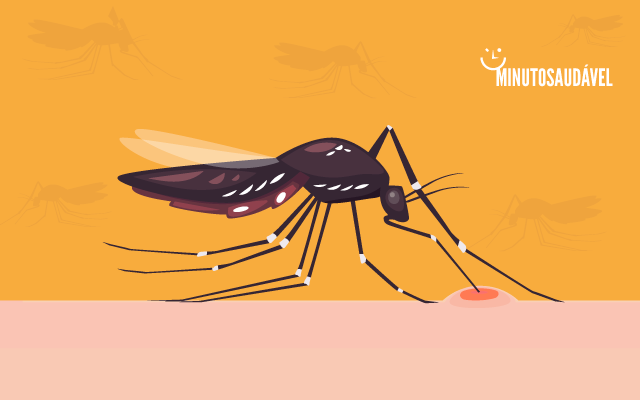 Foto de capa do artigo "O que é Zika (vírus): veja os sintomas e como prevenir"