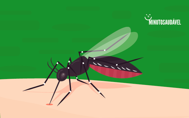 Foto de capa do artigo "Febre Chikungunya: sintomas, transmissão, prevenção e cura"