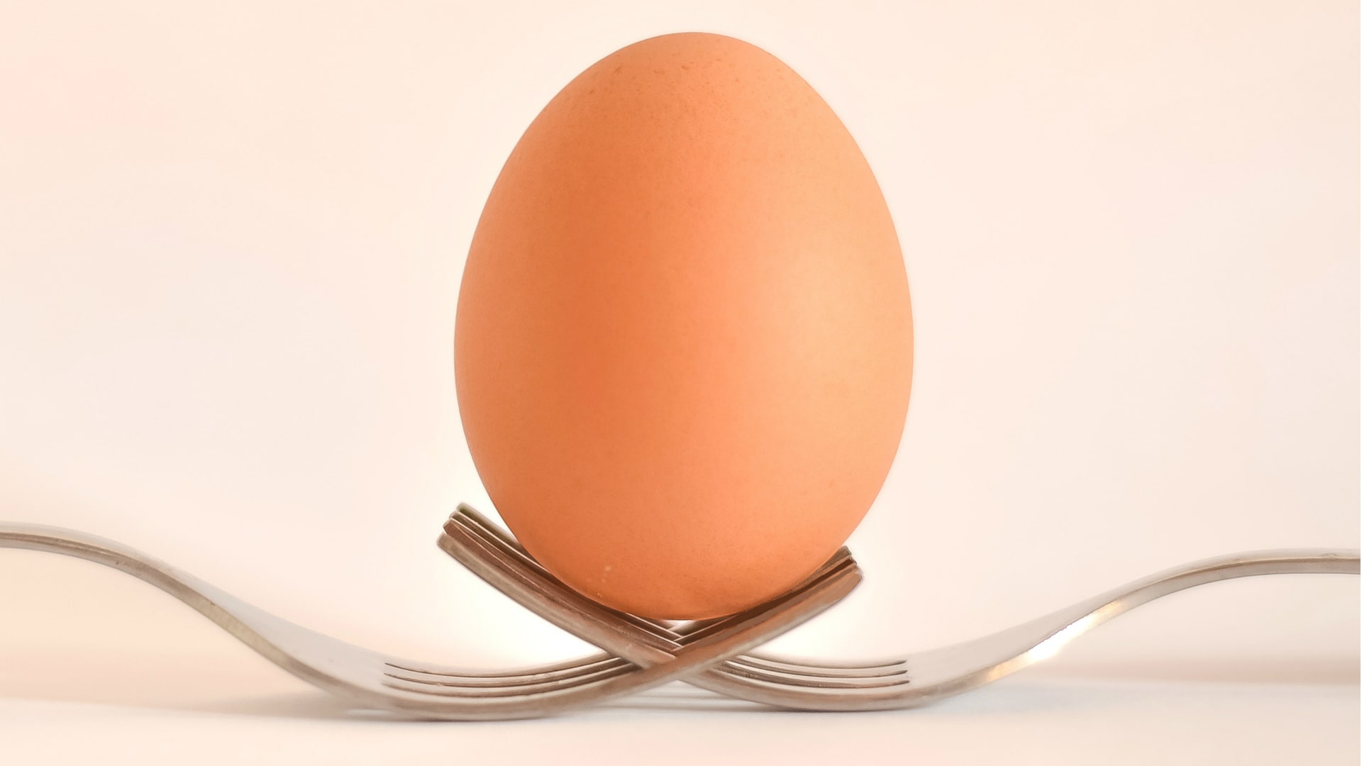 Foto de capa do artigo "Ovo e colesterol: o segredo é o equilíbrio na ingestão"