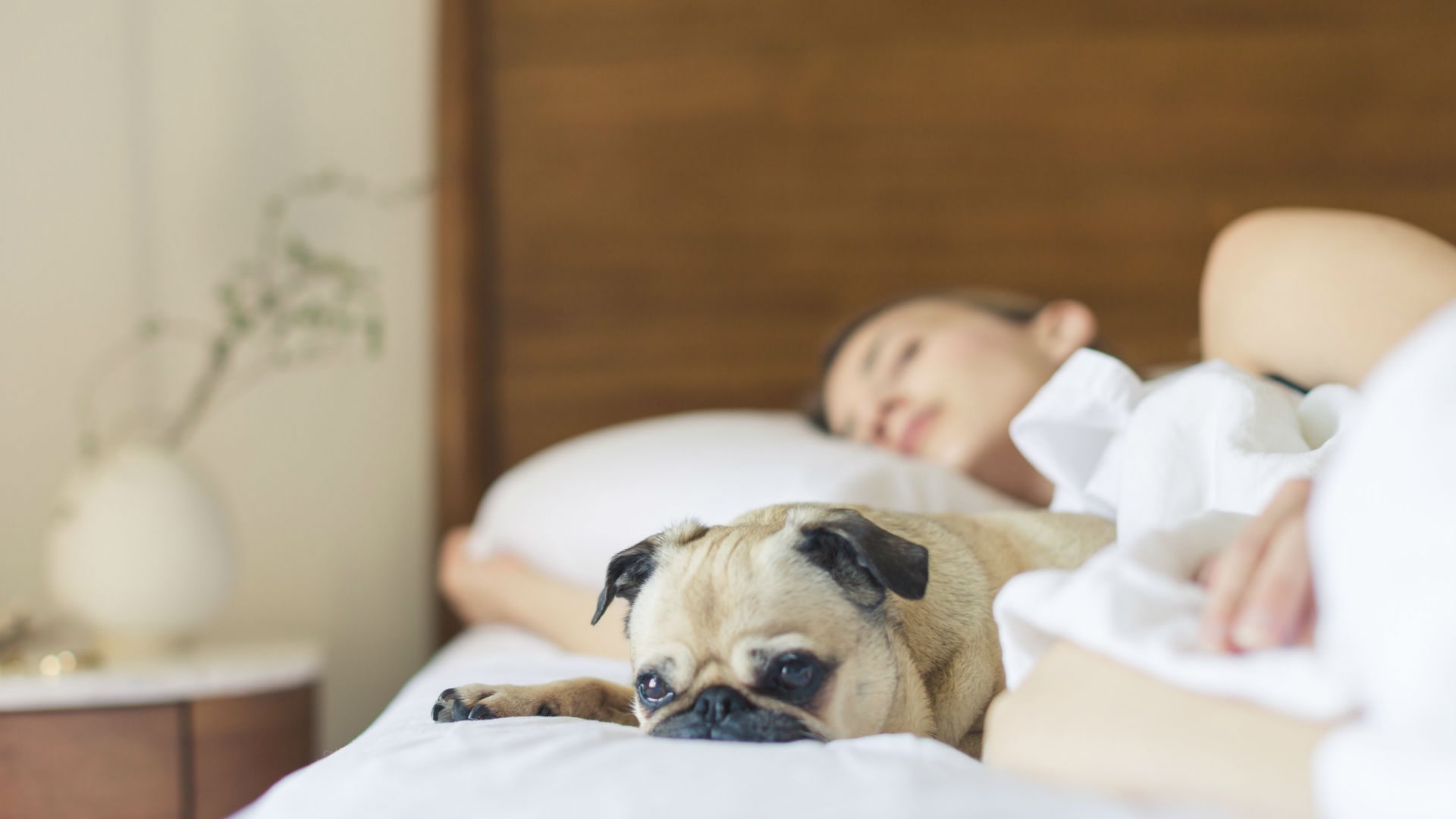 Foto de capa do artigo "Mito ou verdade: o que realmente funciona para dormir bem?"