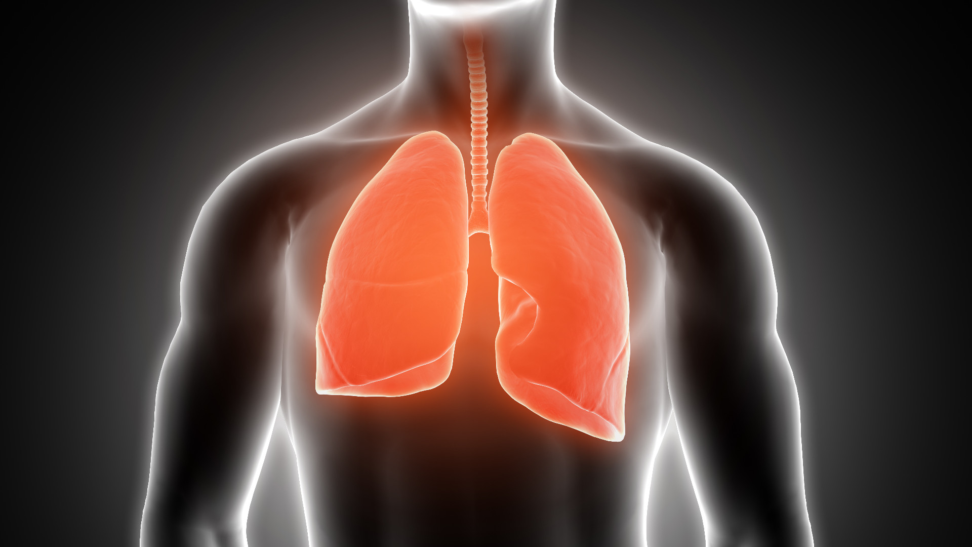 Foto de capa do artigo "Câncer de pulmão: o que é, sintomas, tratamento, tem cura?"