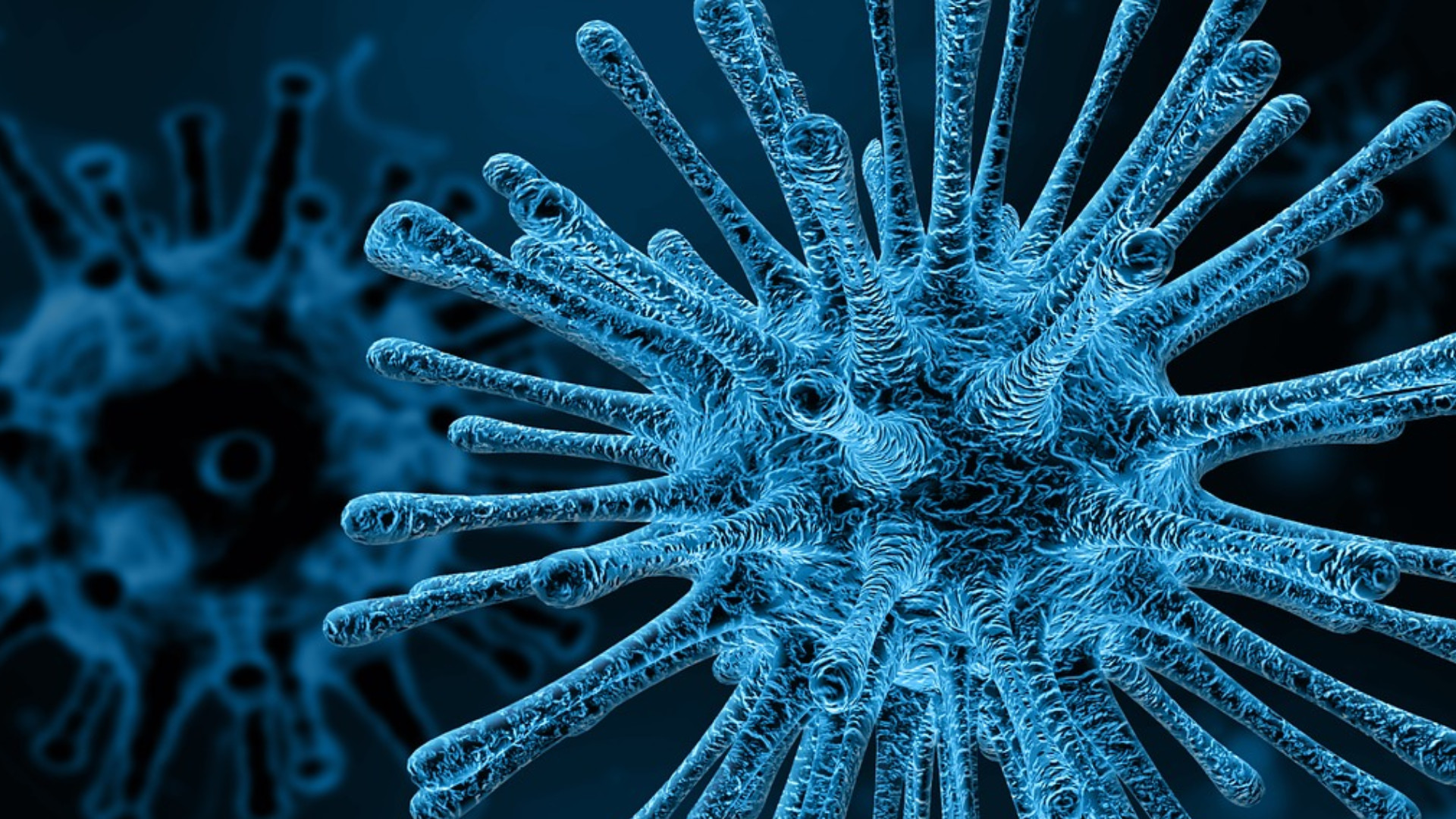 Foto de capa do artigo "​Como prevenir infecçõe​s virais? Dicas e cuidados"