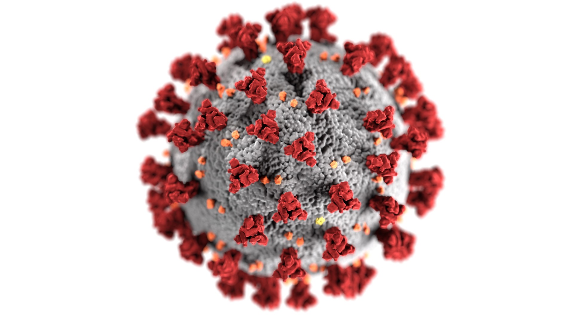 Foto de capa do artigo "Covid-19: por que não existe remédio específico para vírus?"