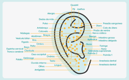 Auriculoterapia: funciona? Veja como é feita e possíveis benefícios | MS