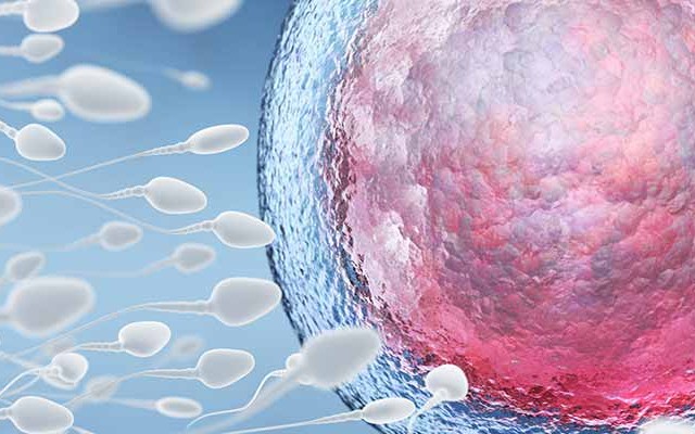 Ilustração de espermatozoides indo em direção a um óvulo.