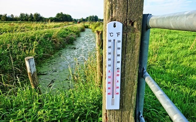 Paisagem verde de campo, com um termômetro de ambiente fixado em uma cerca.