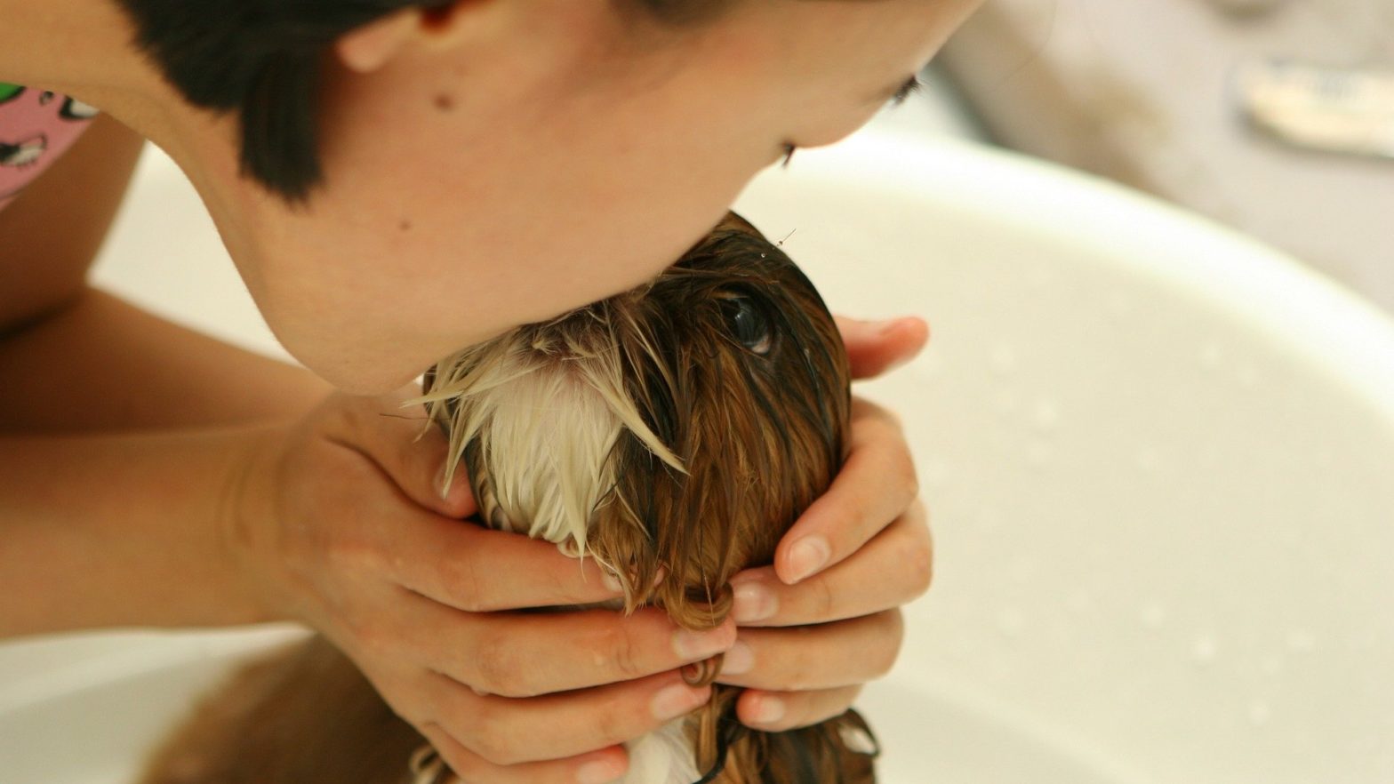 Mulher beijando a testa do seu cachorro enquanto da banho nele.