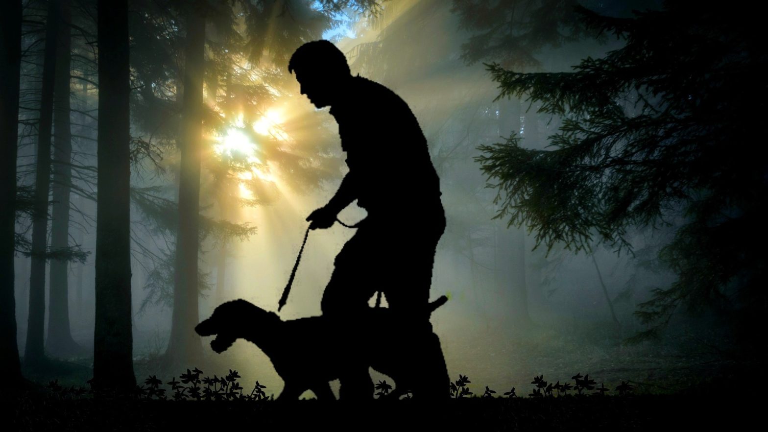 Homem passeando com seu cão-guia na floresta.