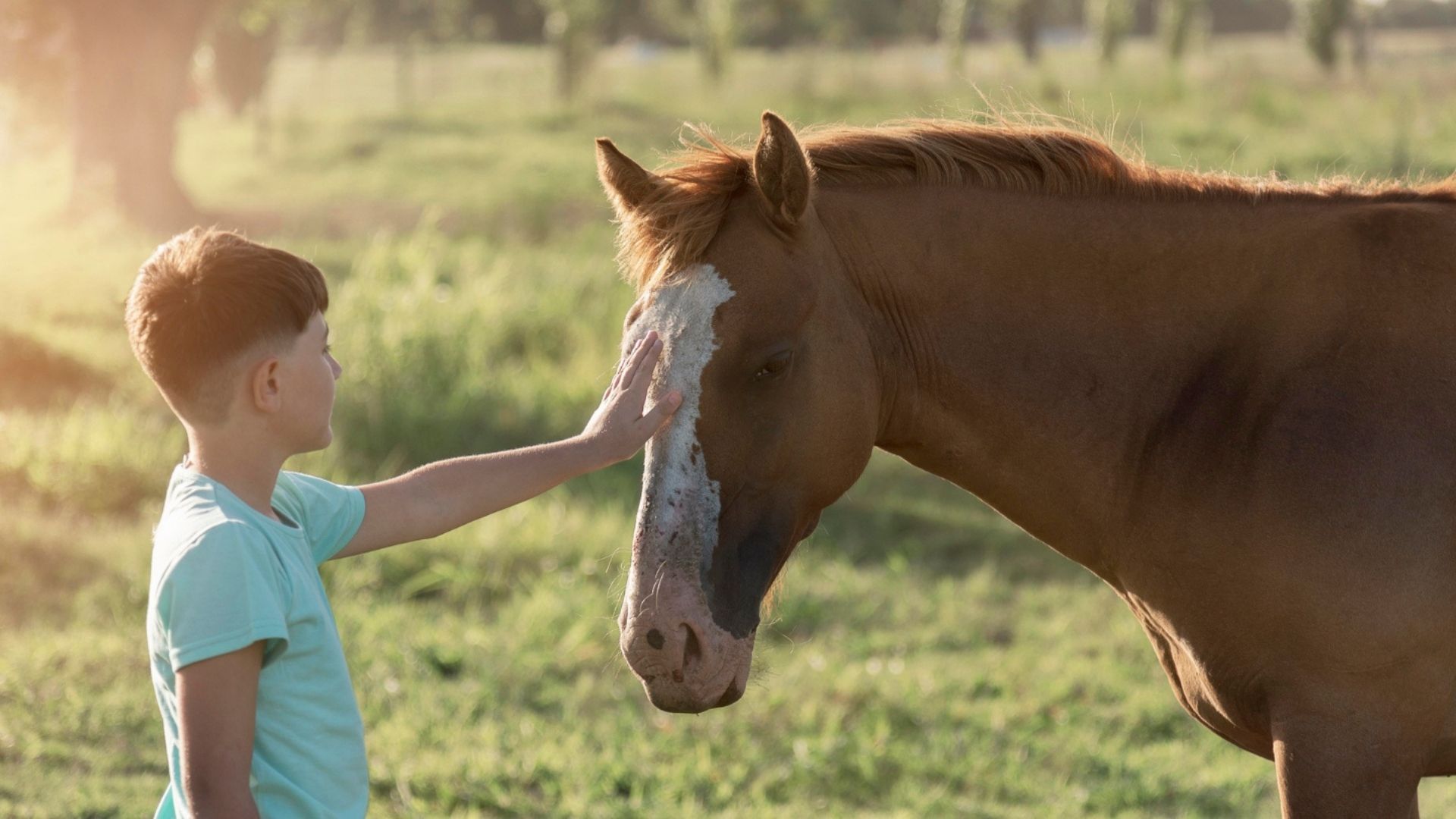 Foto de capa do artigo "Dia Nacional da Equoterapia: o cavalo como agente inclusivo"