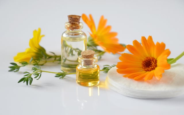 O óleo da flor é uma ótima opção para tratamento de assaduras de atrito, de fralda e de acne.